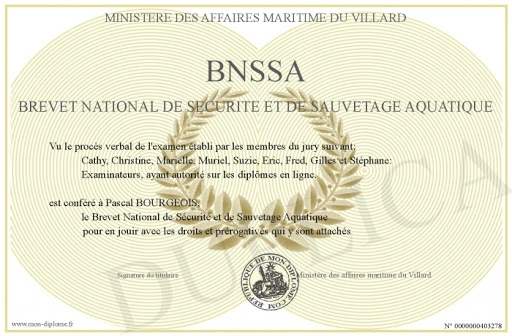 Diplome BNSSA web p diplome BNSSA